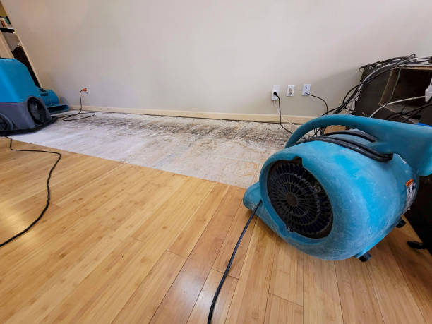 Professional Burst Pipe Water Damage technician working in Mertens, TX